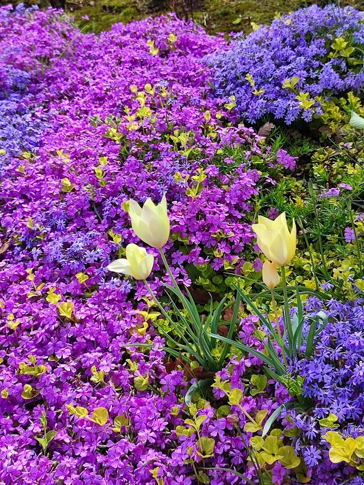 Фотография автора Татьяна Петренко