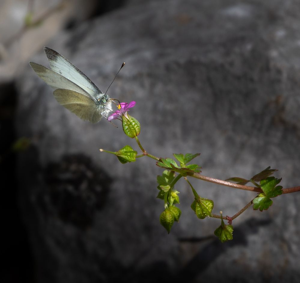 Photograph by Анна Стрелковская