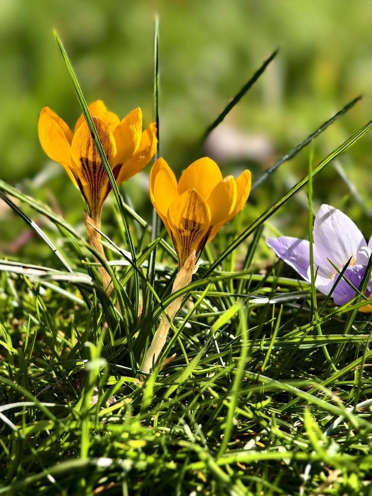 Photograph by Светлана Мишенина