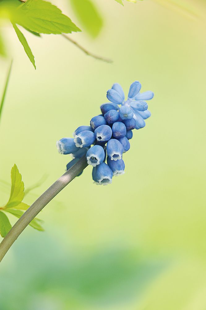 Photograph by Антон Леонов