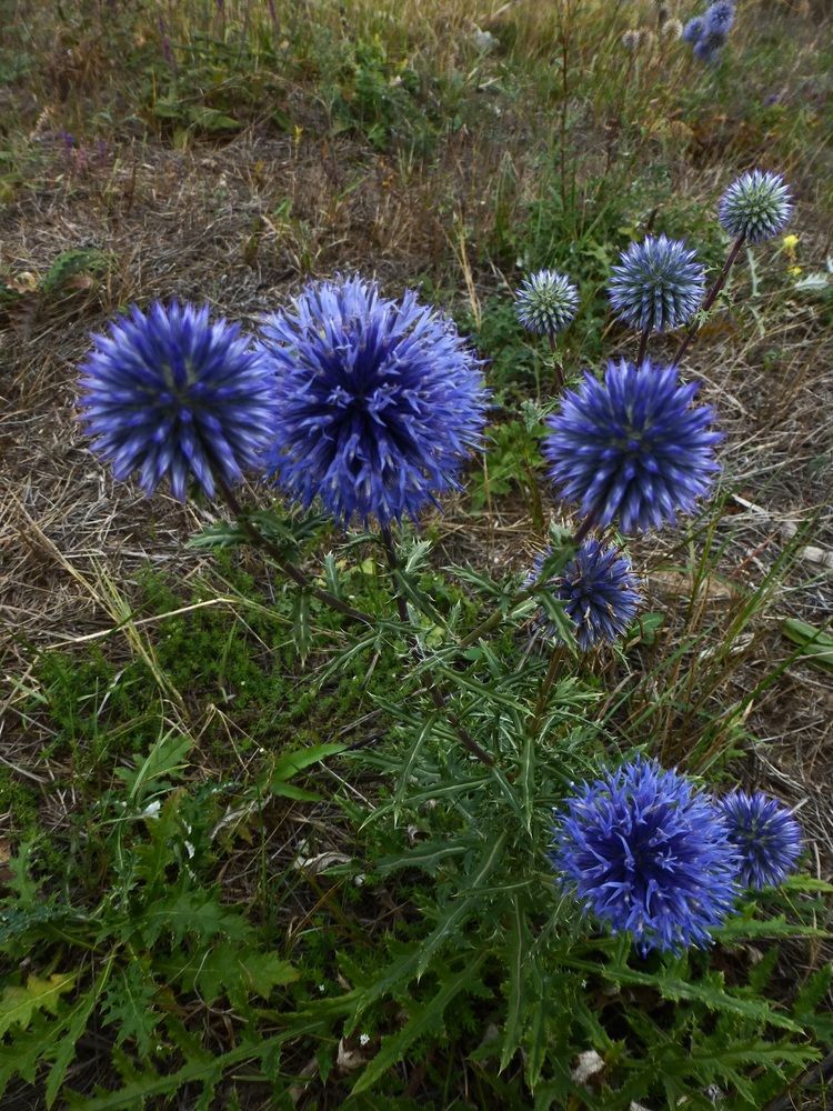 Photograph by Денис Веску