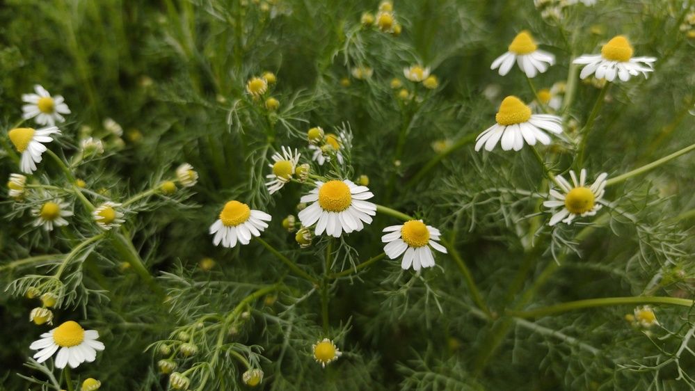 Photograph by Дмитрий Леонтенко