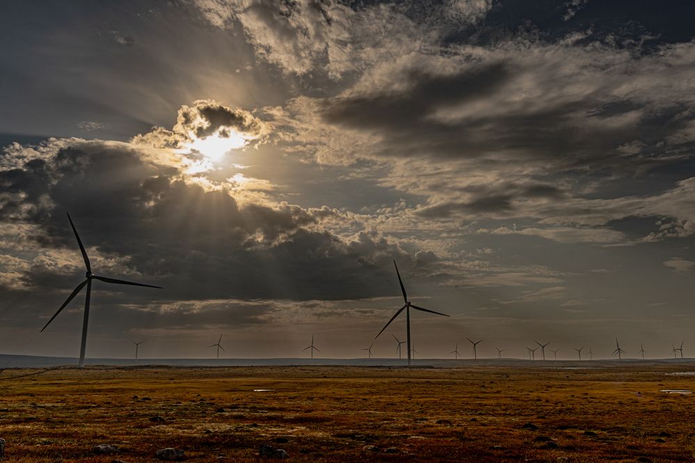 Photograph by Андрей Соколов