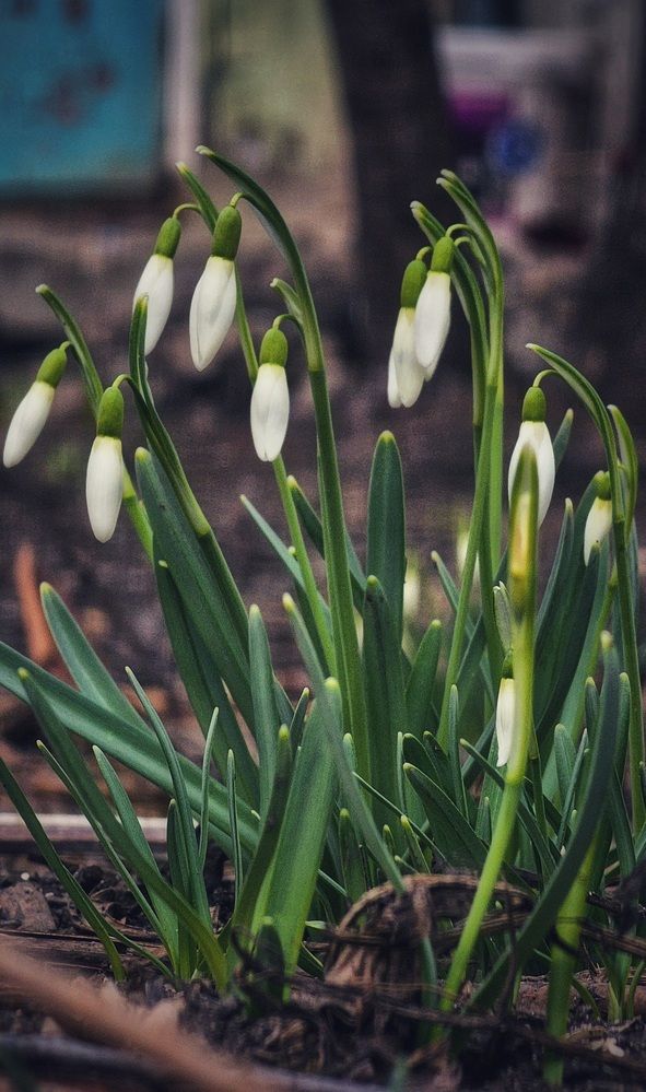 Photograph by Степан Макрушин