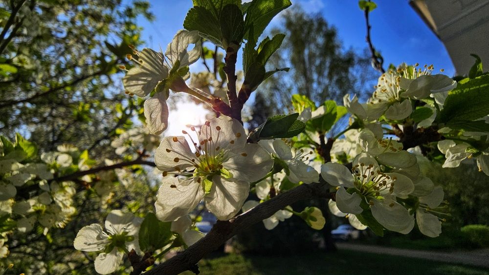 Photograph by Степан Макрушин