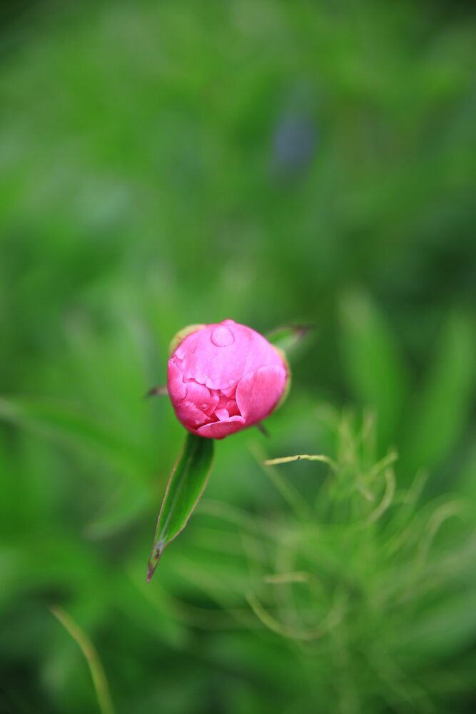 Photograph by Злата Тарасова