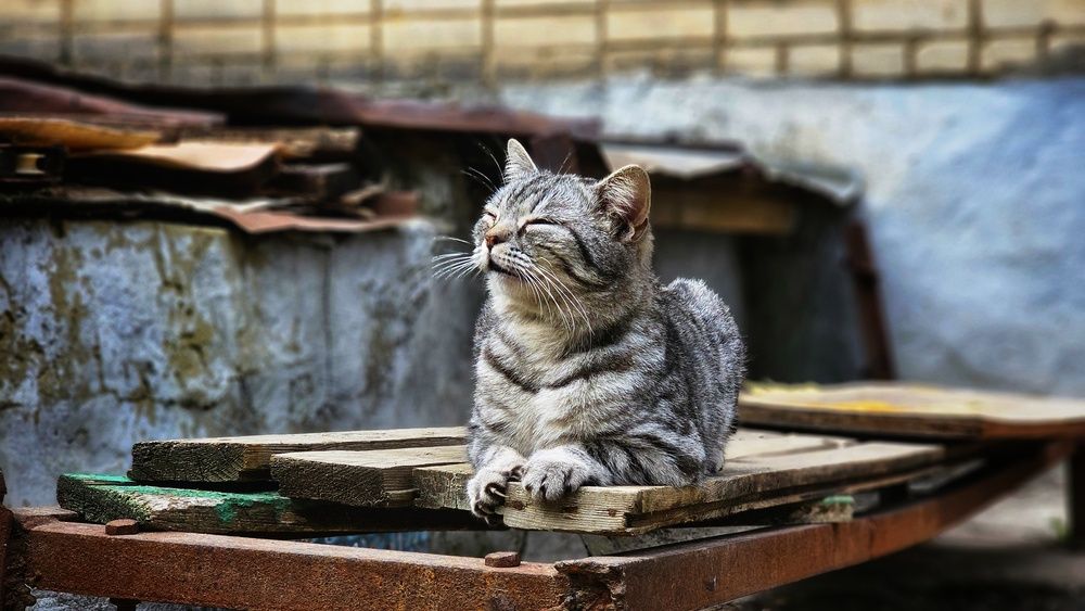 Photograph by Степан Макрушин