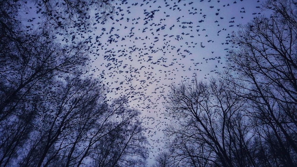 Photograph by Степан Макрушин