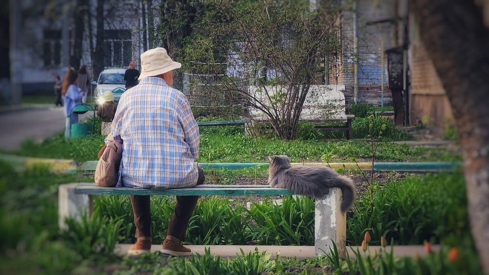 Photograph by Степан Макрушин