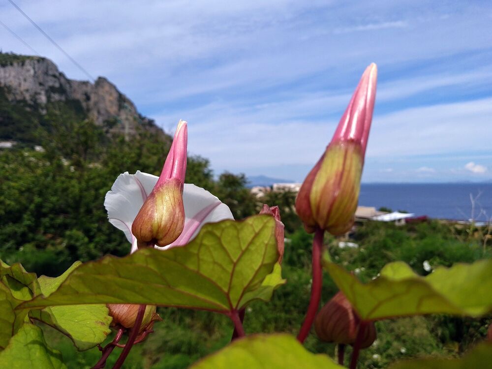 Фотография автора Liliya Slavcheva