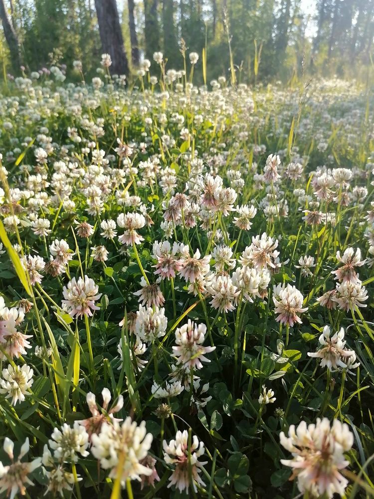 Photograph by Татьяна Бешенкина