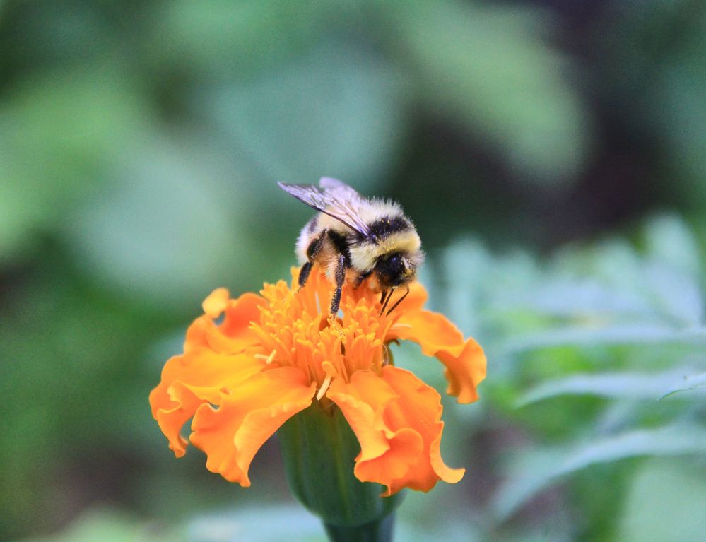 Фотография автора Наталия Мащенко