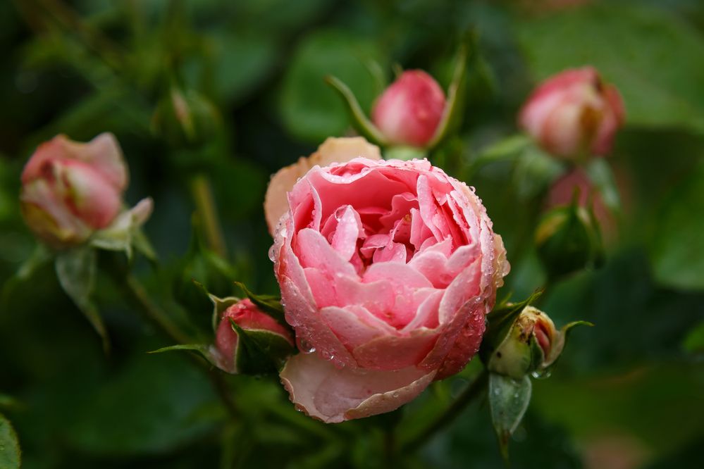 Photograph by Наталья Колеватова