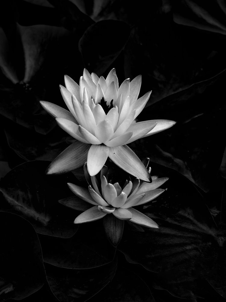 Photograph by Маргарита Смоленская