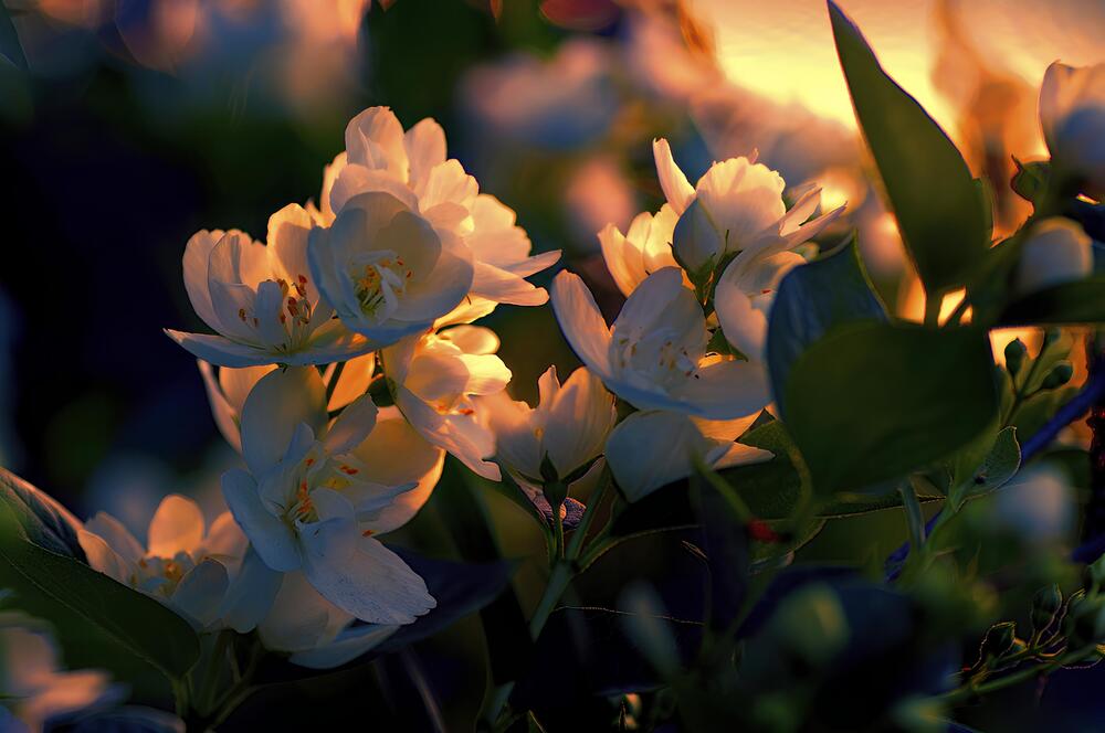 Душевная песня