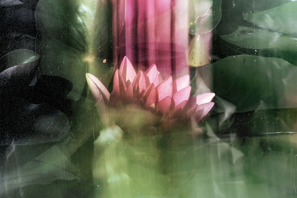 Photograph by Маргарита Смоленская