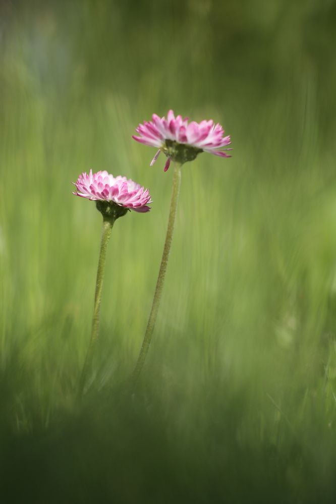 Photograph by Надежда Зайцева