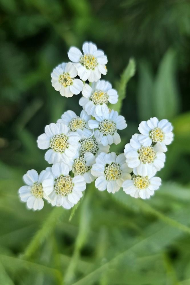 Photograph by Лариса Ким