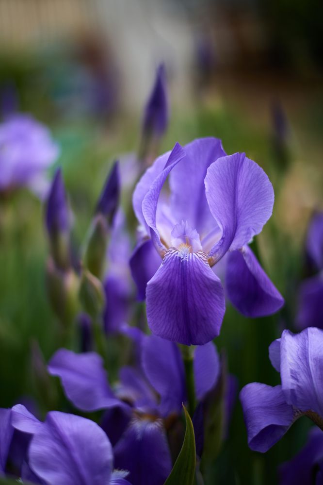 Photograph by Елизавета Соломатина