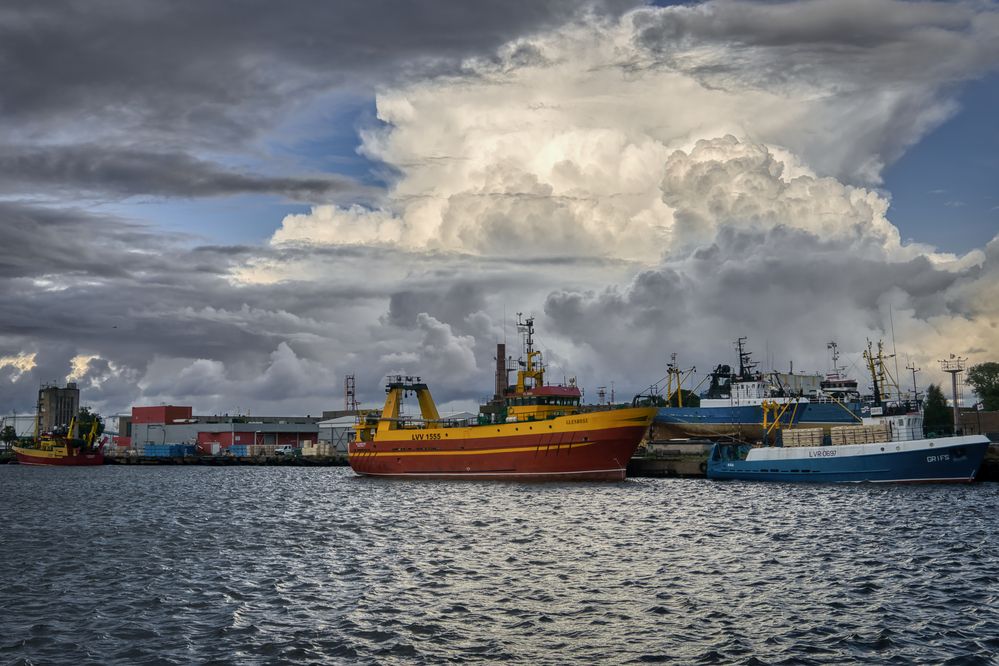 Photograph by Kulikova Albina