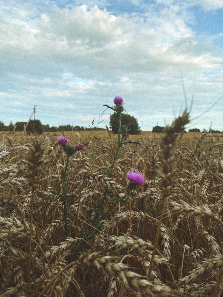 Photograph by Лиза Рязанцева