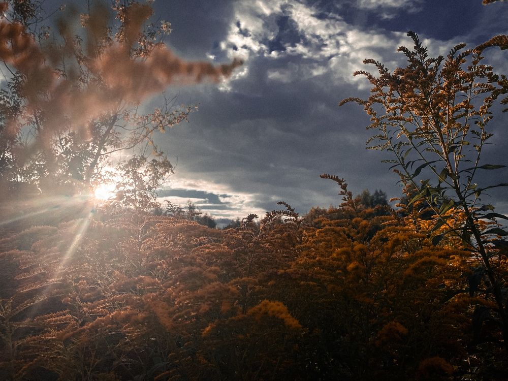 Photograph by Лиза Рязанцева