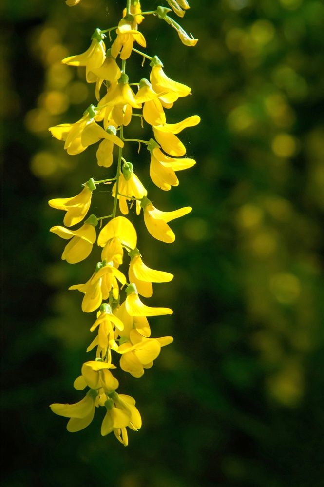 Photograph by Marina Mossiy