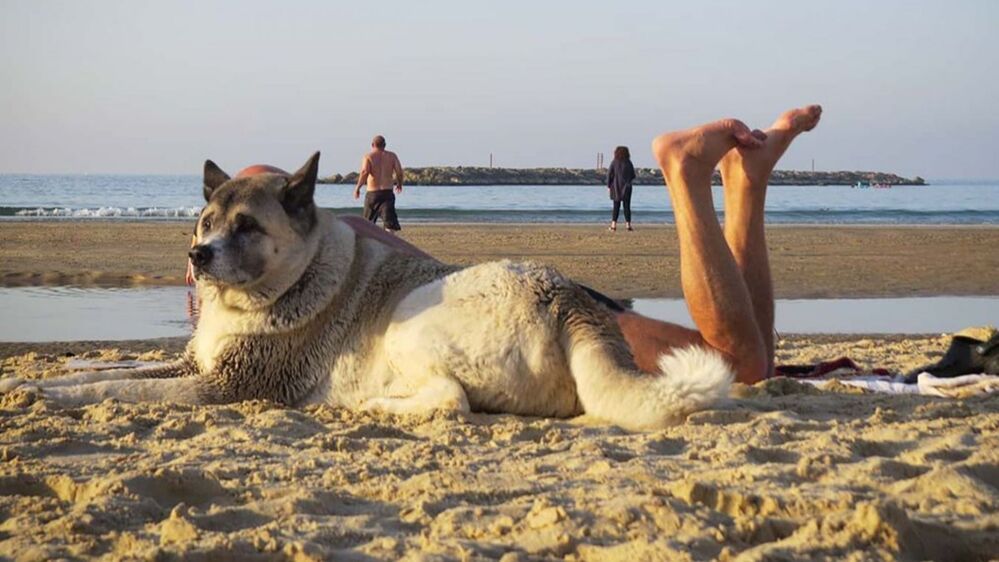 Показалось