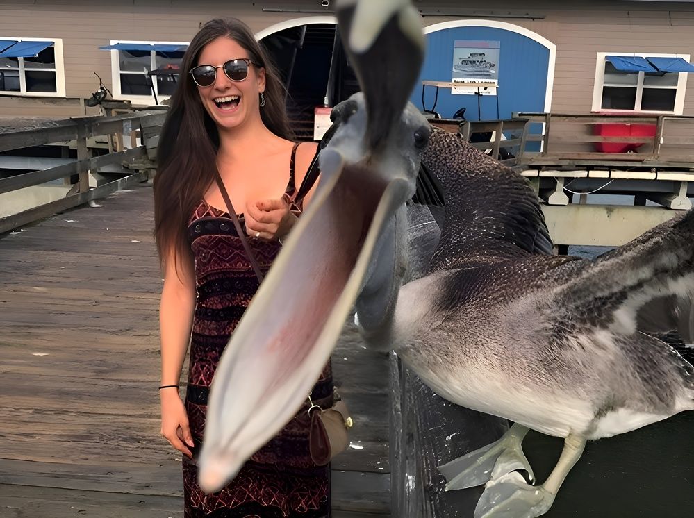 Показалось 2