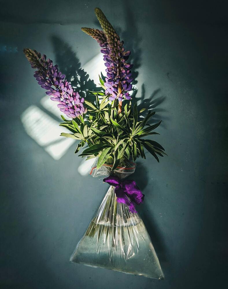 Фотография автора Ксения Шляйхер