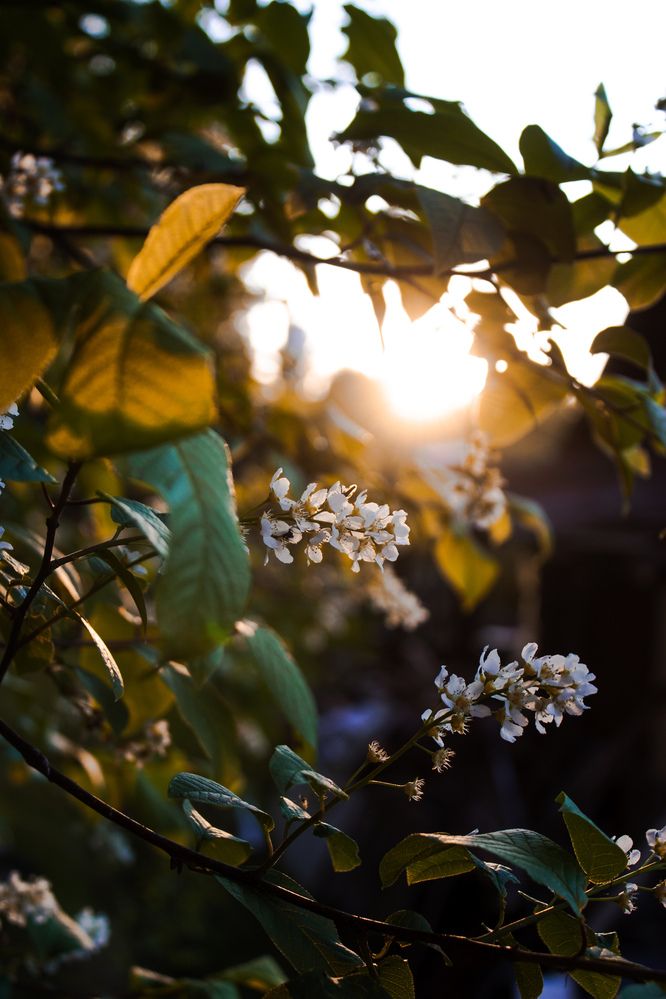 Photograph by Ника Прокопенко