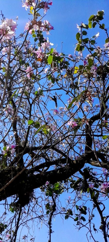 Photograph by Meire Costa