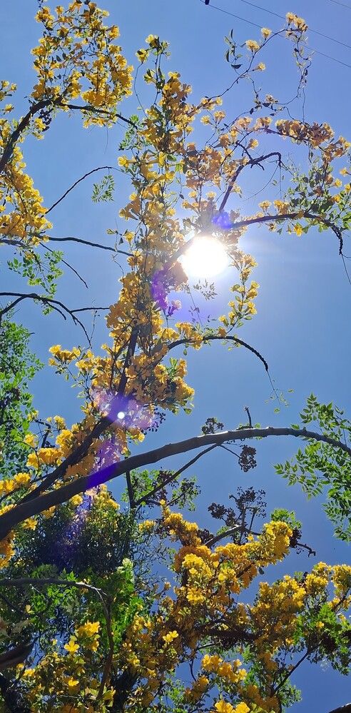 Photograph by Meire Costa