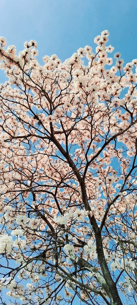 Photograph by Meire Costa