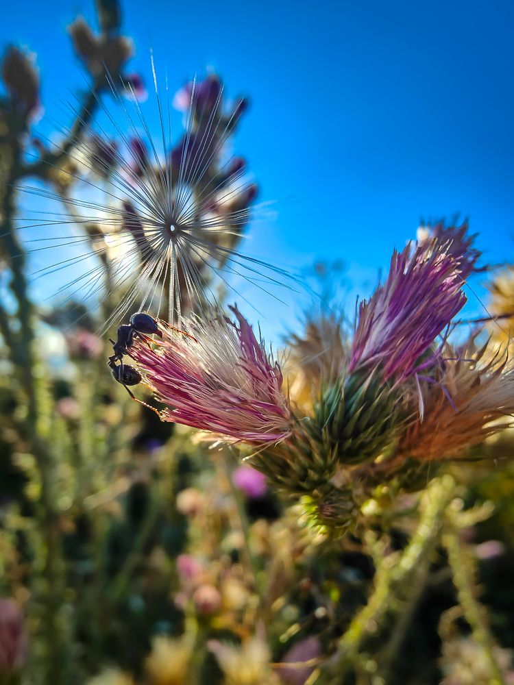 Photograph by Izan Zufiaurre Sánchez