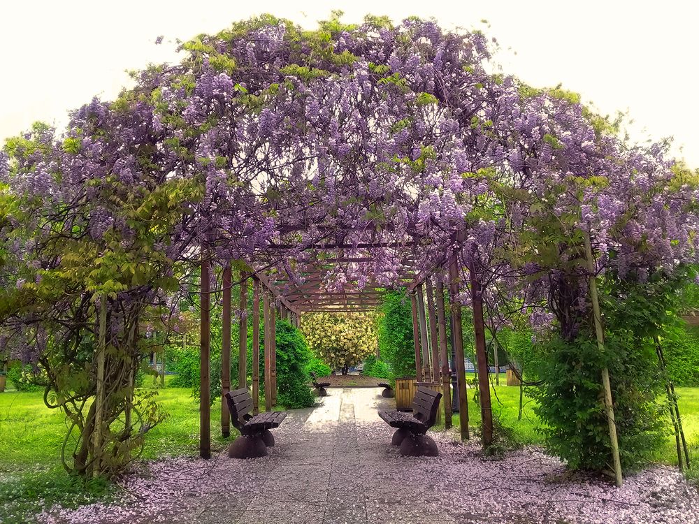 Photograph by hasan sorena jouri