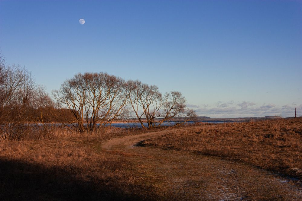 Photograph by Ника Прокопенко