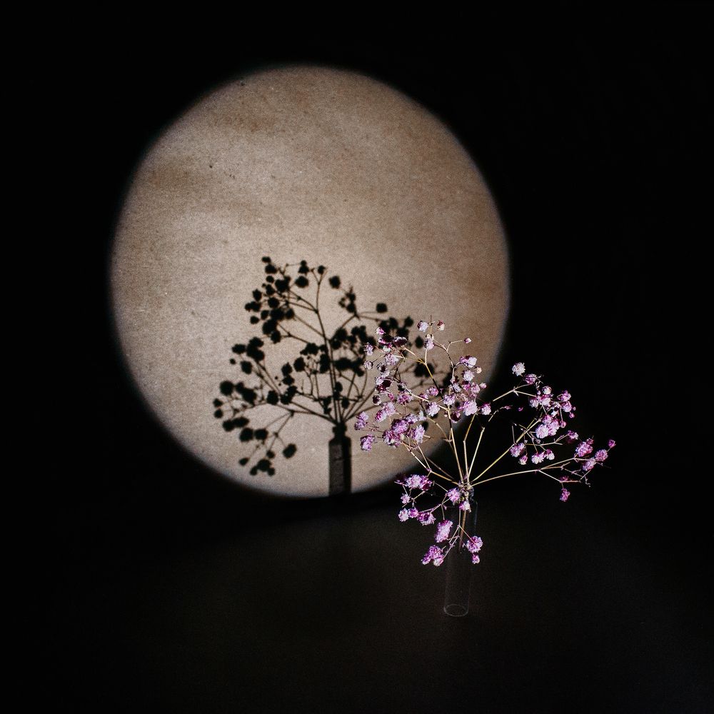 Photograph by Светлана Прокофьева