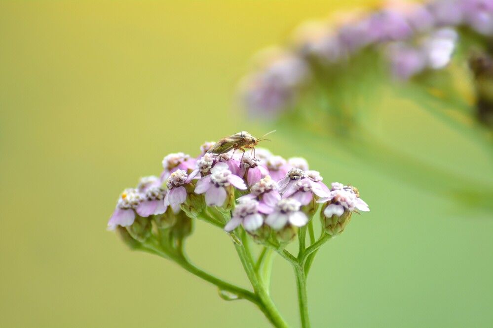 Photograph by София Бояринцева