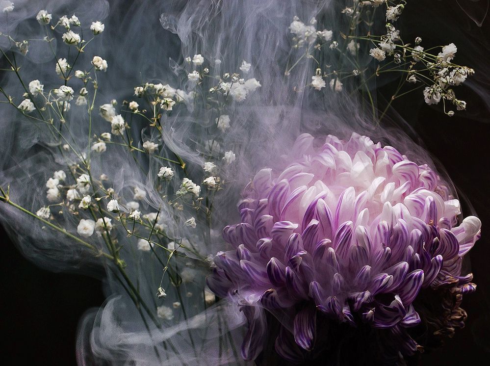 Photograph by Alexander Sviridov