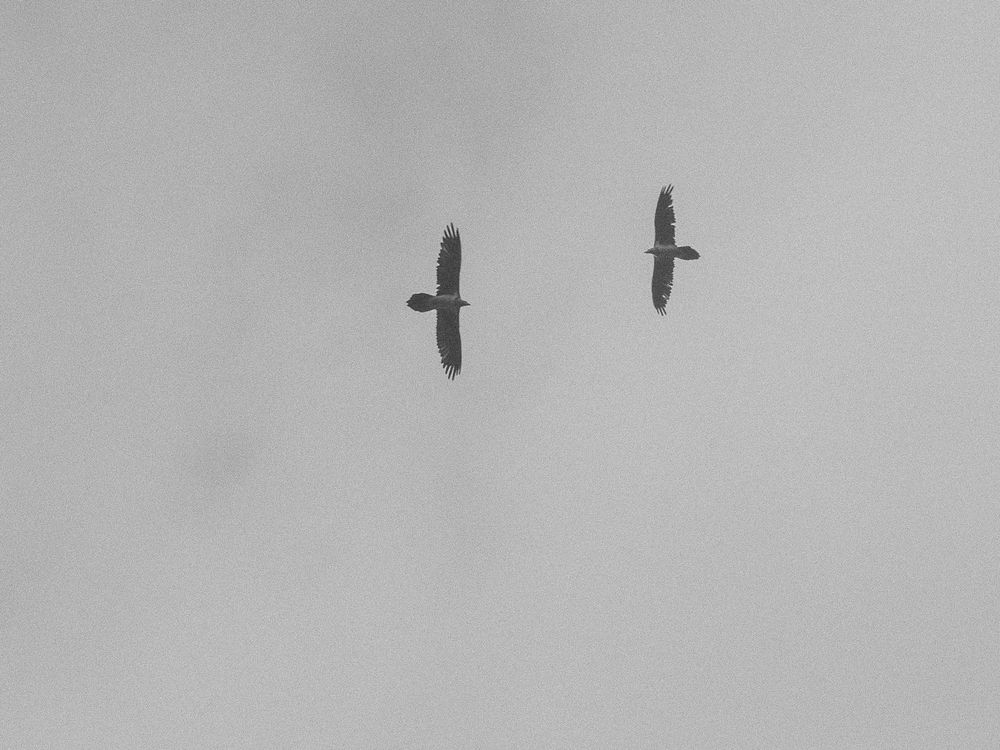 Photograph by Макс Полюхович