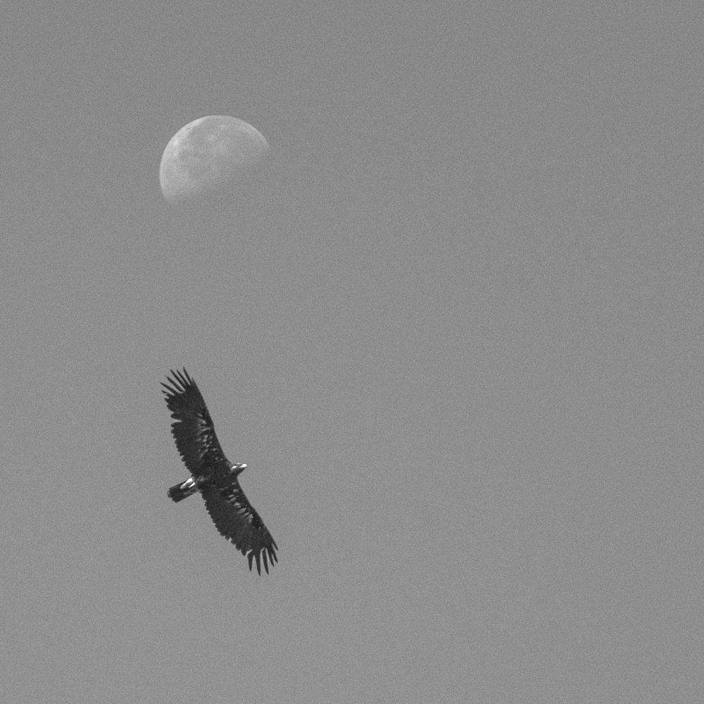 Photograph by Макс Полюхович