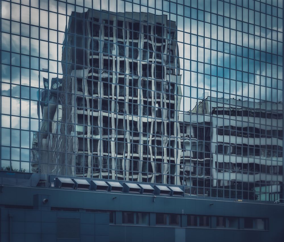 Photograph by Budyta Dariusz