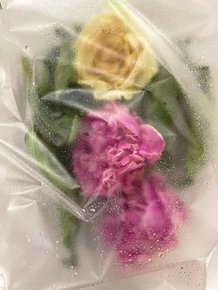 Photograph by Ольга Беспалько