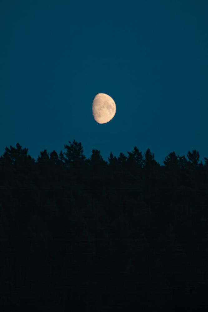 Photograph by Владимир Пилюков