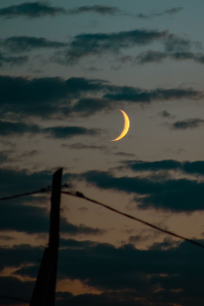 Photograph by Владимир Пилюков