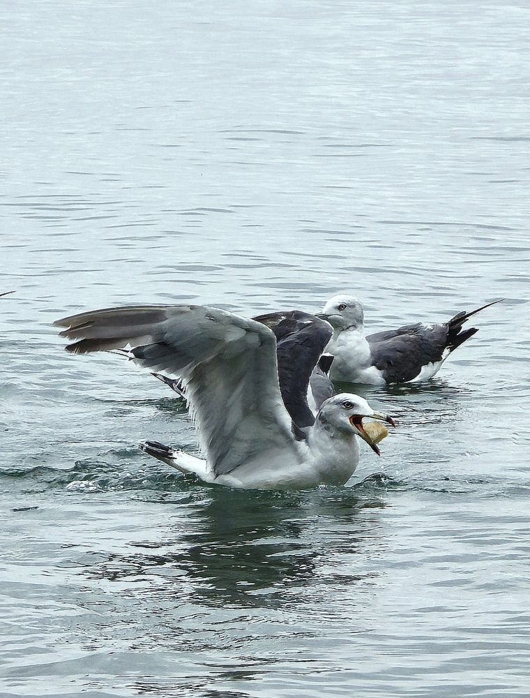 Photograph by Елена Ласун