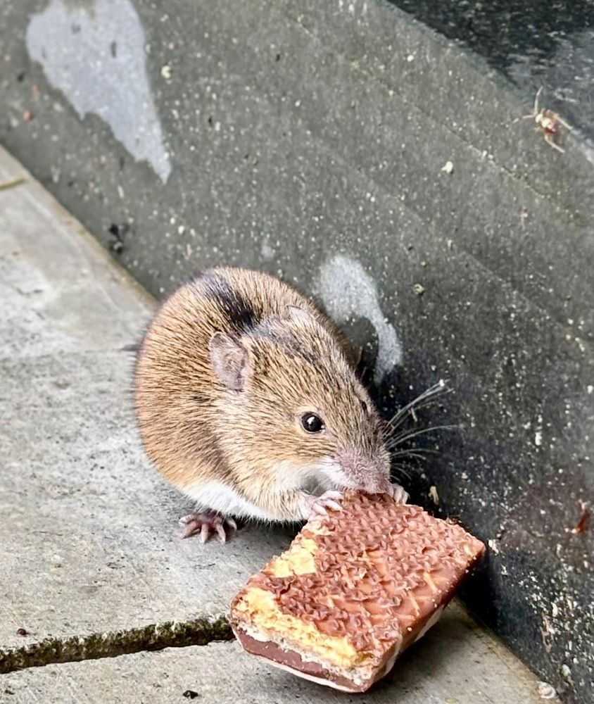 Photograph by Титаренко Людмила