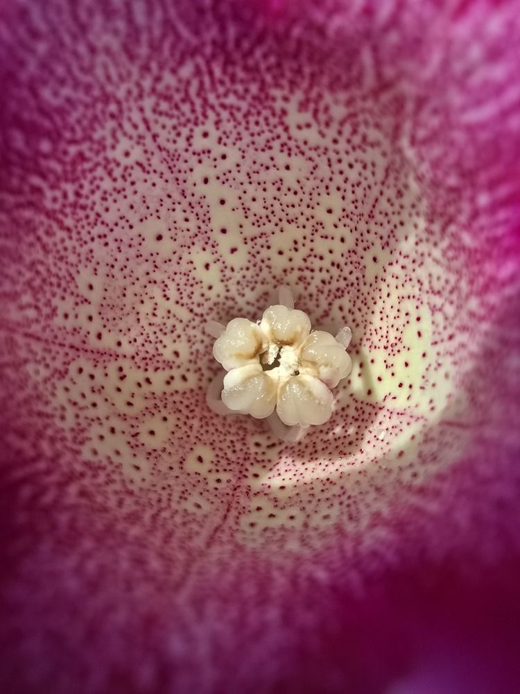 Photograph by Елена Ласун