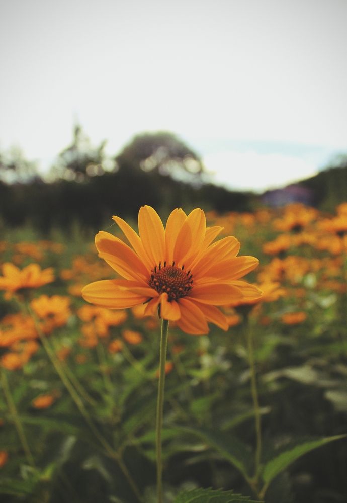 Photograph by Козлова Ольга